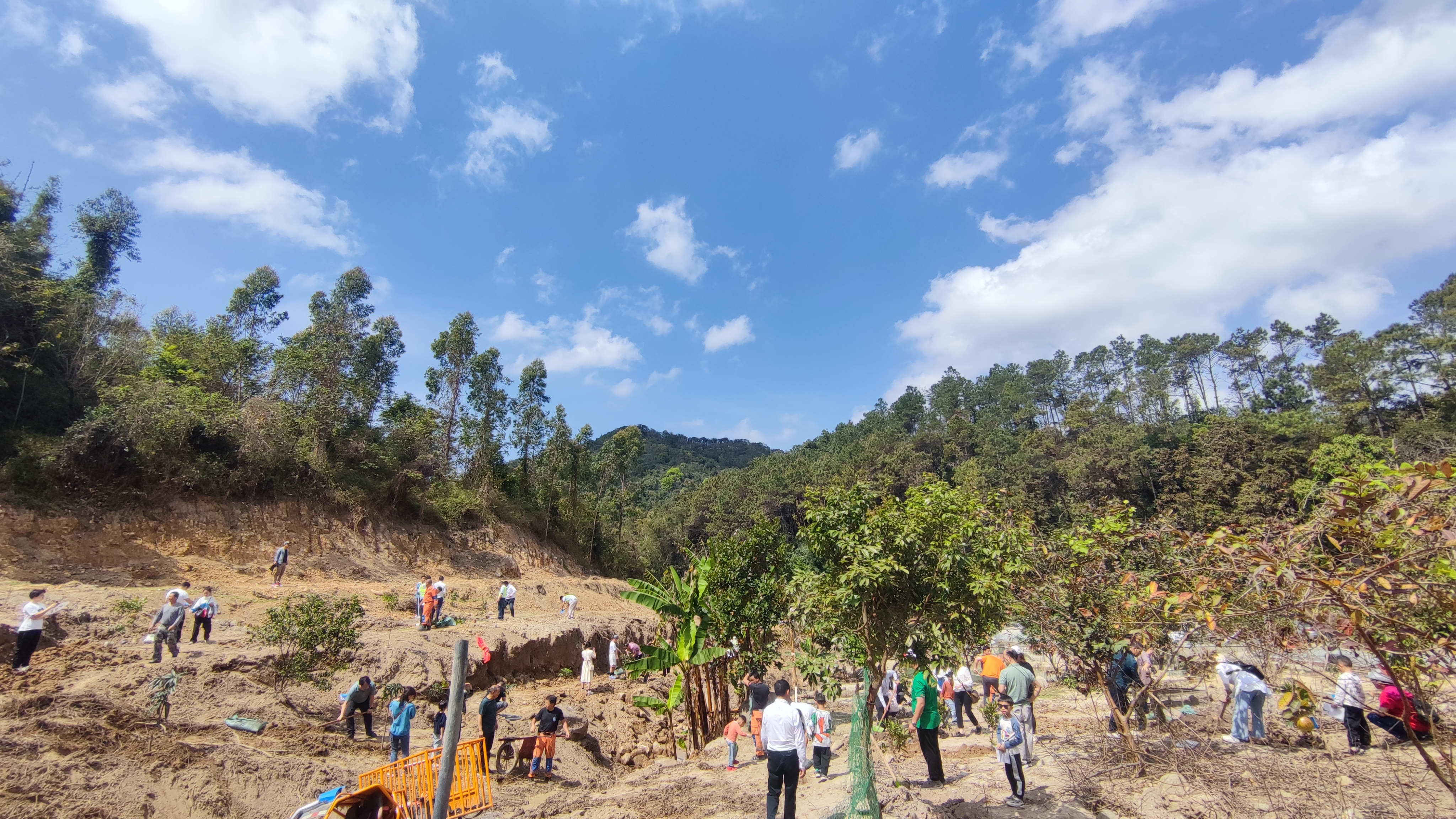 mmexport1647074819978.jpg mmexport1647074819978.jpg